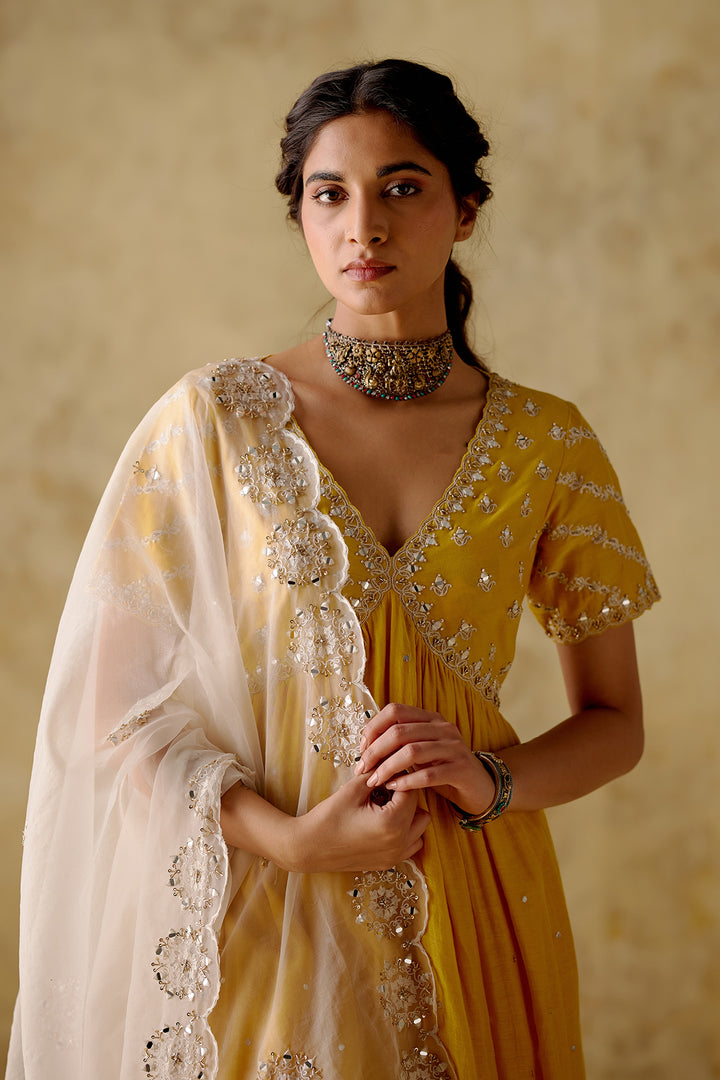 Amber - Yellow Embroidered Anarkali Set - Set Of 3